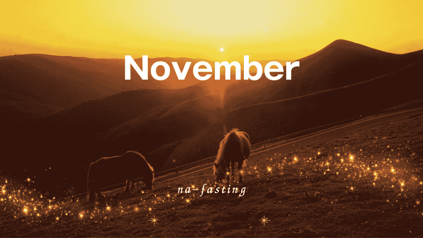 11月の過ごし方